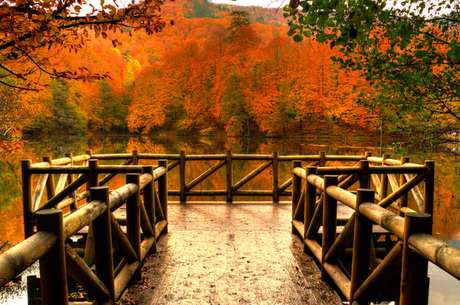 Batı Karadeniz (Safranbolu - Amasra) Turu 1 Gece