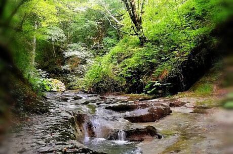 KASTAMONU KANYONLAR SAFRANBOLU VE ZONGULDAK TURU 1 GECE